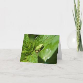Carte de note minuscule de grenouille (brillante)