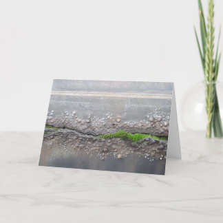 Carte de note "Moss"