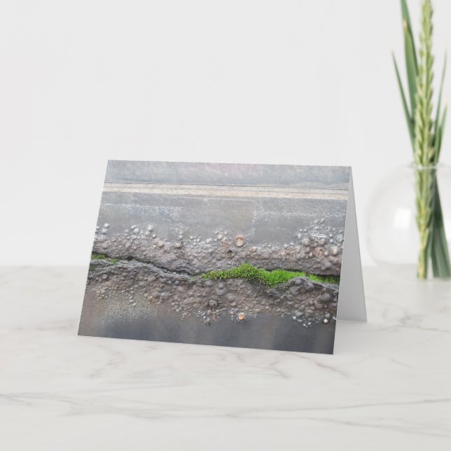 Carte de note "Moss" (Devant)