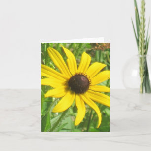 carte de note Noir-eyed de Susan