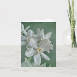 Carte de note Paperwhite Narcissus