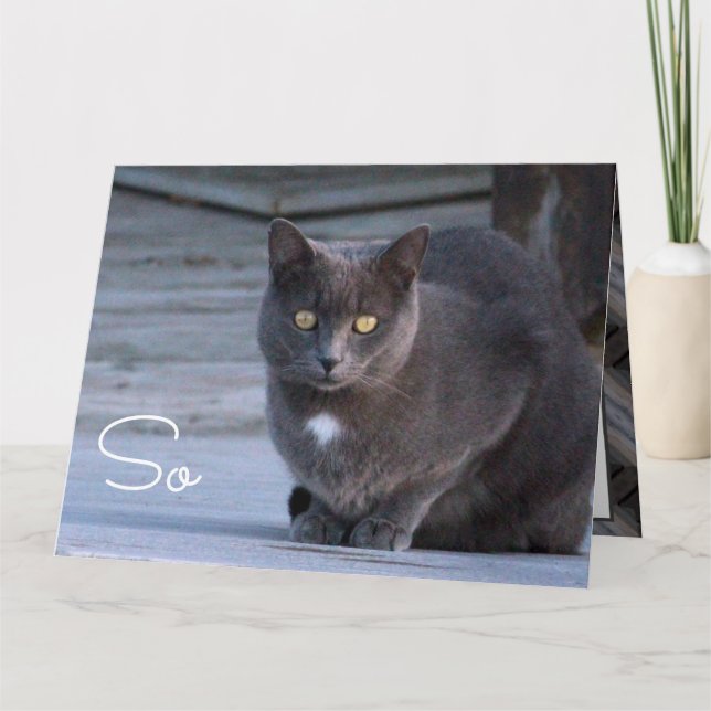 Carte de note papier Hello (Devant)