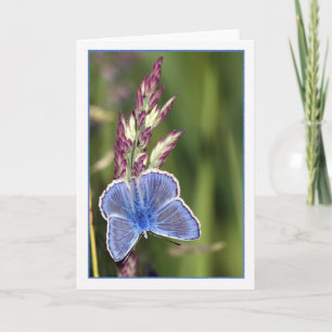 Carte de note - Papillon bleu commun masculin - Po