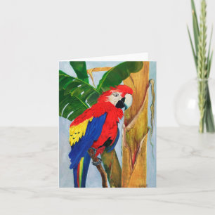 Carte de note - Perroquet tropical