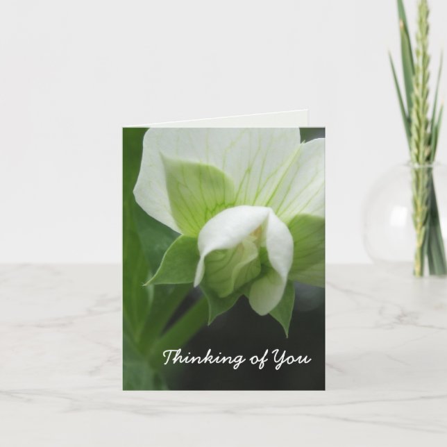 Carte de note personnalisable cachée de modèle de  (Devant)