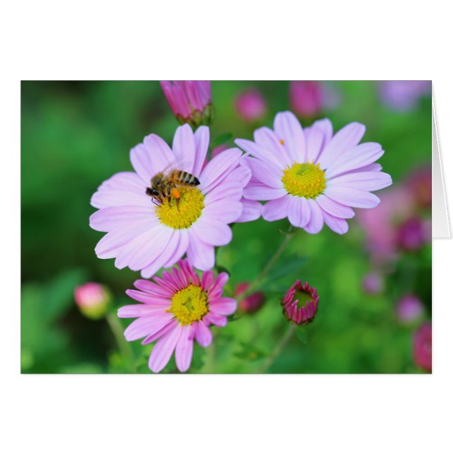 Carte de note photo vierge avec abeille sur fleur  (Devant Horizontal)