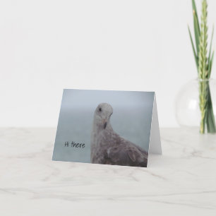 Carte de note Pigeon "Hi There"