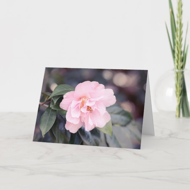 Carte de note Pink Camellia Japonica (Devant)