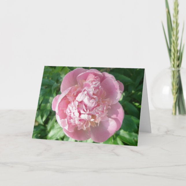 Carte de note Pink Peony (Devant)