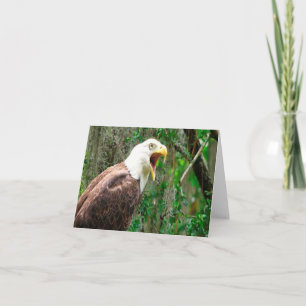 Carte de note pliée avec photo d'aigle à tête blan
