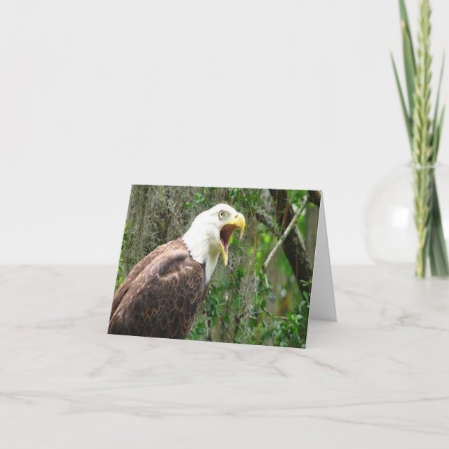 Carte de note pliée avec photo d'aigle à tête blan (Devant)