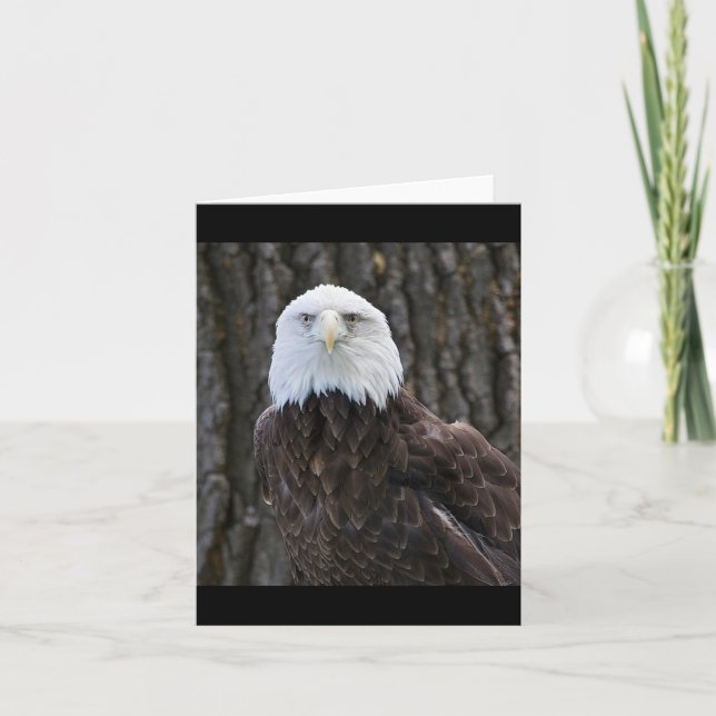 Carte de note pliée avec photo d'aigle à tête blan (Devant)