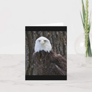 Carte de note pliée avec photo d'aigle à tête blan