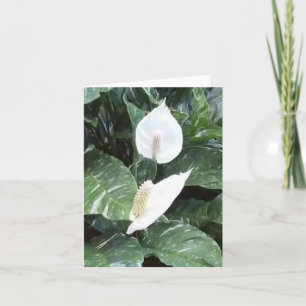 Carte de note pliée avec photo Peace Lily