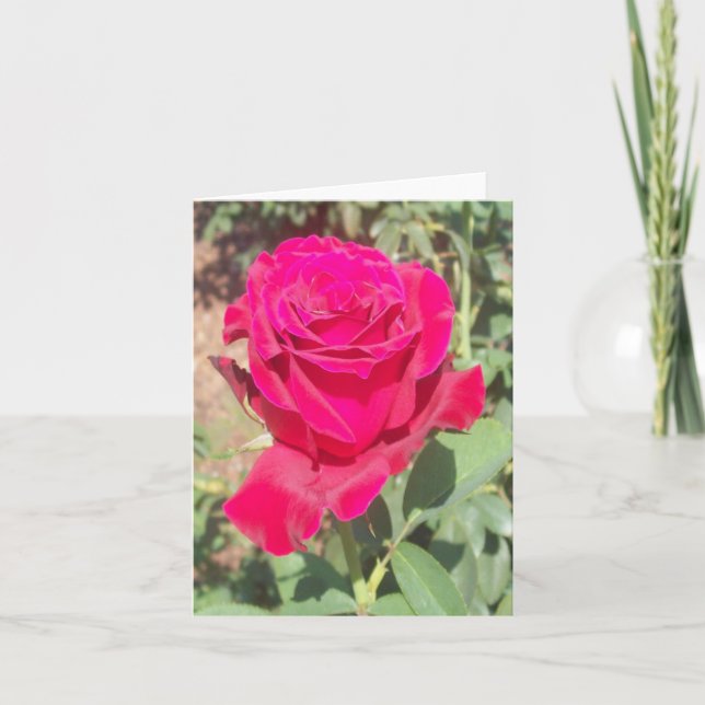 Carte de note pliée de photo Rose rouge (Devant)