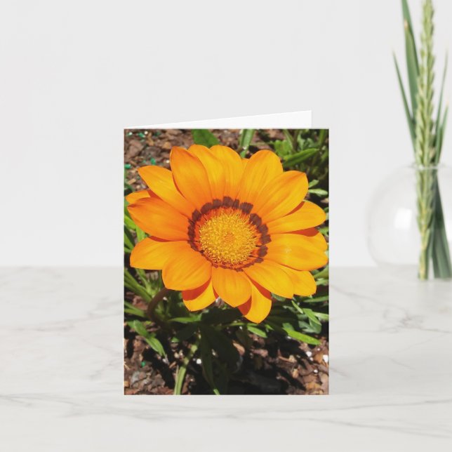 Carte de note pliée Enorma Orange Gazania Rigens (Devant)