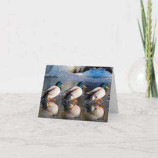 Carte de note pliée MALLARD EN HIVER