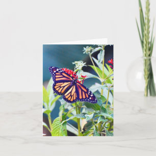 Carte de note pliée Monarch Butterfly