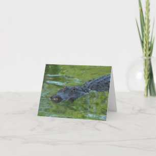 Carte de note pliée photo Alligator