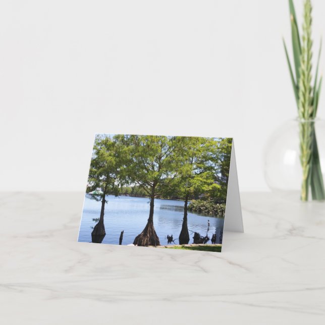 Carte de note pliée photo Cypress Trees (Devant)