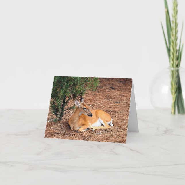 Carte de note pliée photo de cerf (Devant)