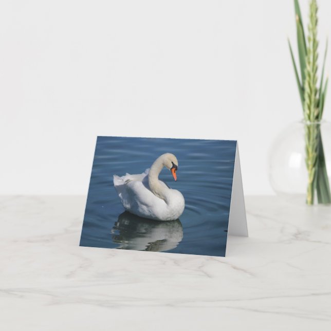 Carte de note pliée photo du cygne muet (Devant)