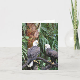 Carte de note pliée photo Eagles Bald