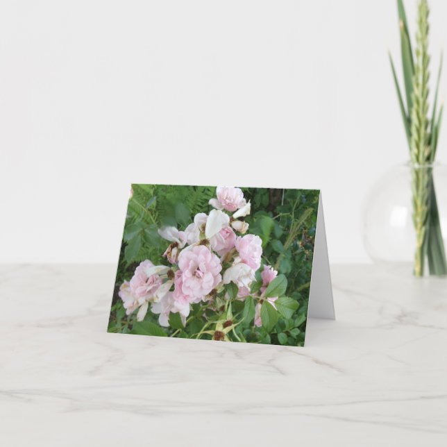 Carte de note pliée Roses roses (Devant)