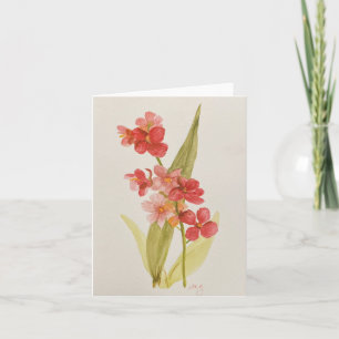 Carte de note pliée rouge orchidée