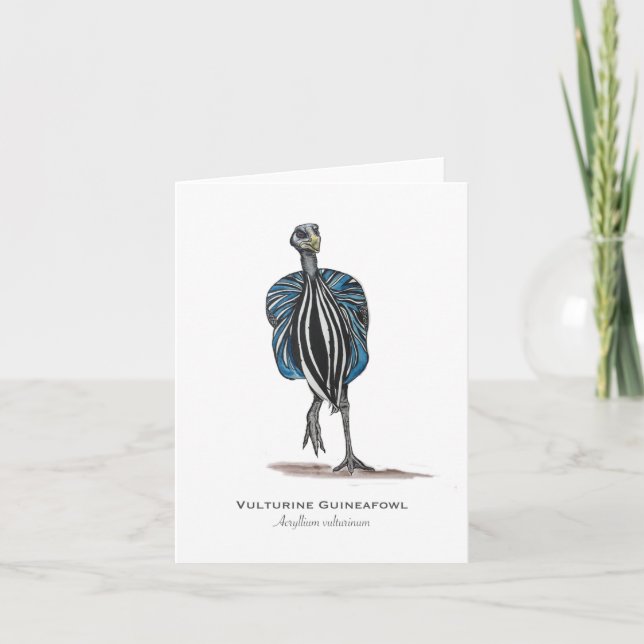 Carte de note pliée Vulturine Guineafowl (Devant)