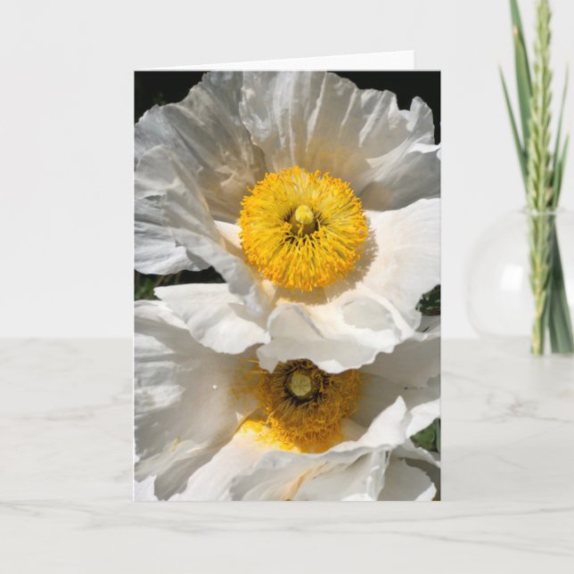 Carte de note Poppy Matilija<Blank Inside> (Devant)