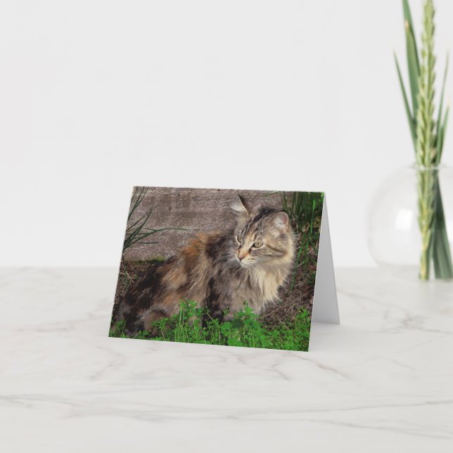Carte de note Portrait de chat Feral (Devant)
