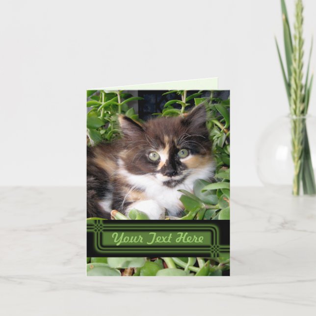 Carte de note pour chat écossais (Devant)