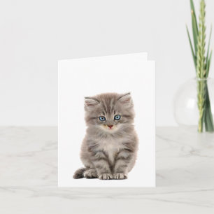 Carte de note pour chaton gris