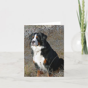 Carte de note pour Chien Chien Chien Chien Montagn
