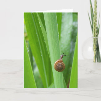 Carte de note pour Escalade Garden Snail