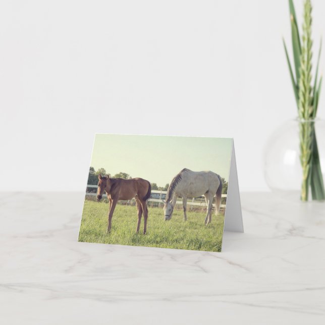 Carte de note pour les chevaux de mer et de poulai (Devant)