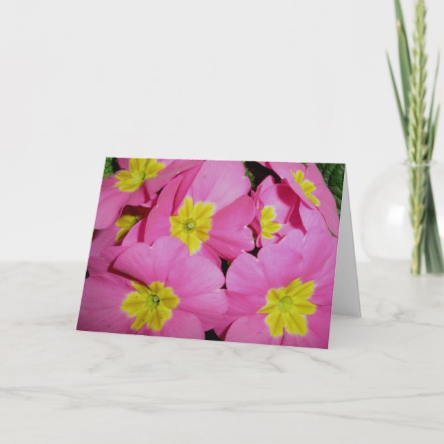 Carte de note Primrose jaune rose (Devant)