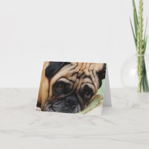 Carte de note Puggy triste