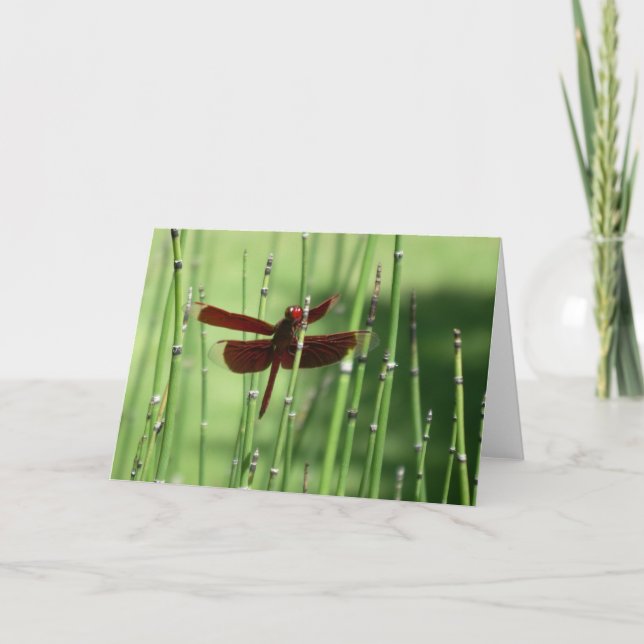 Carte de note Red Dragonfly (Devant)