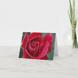 Carte de note rose couverte de rosée
