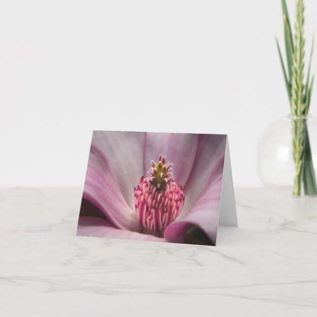 Carte de note rose de magnolia de soucoupe (Devant)