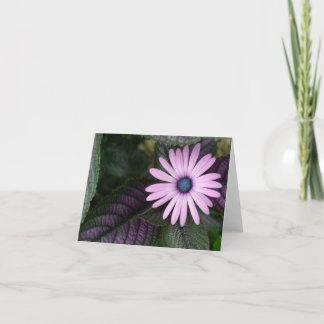 Carte de note rose et bleue