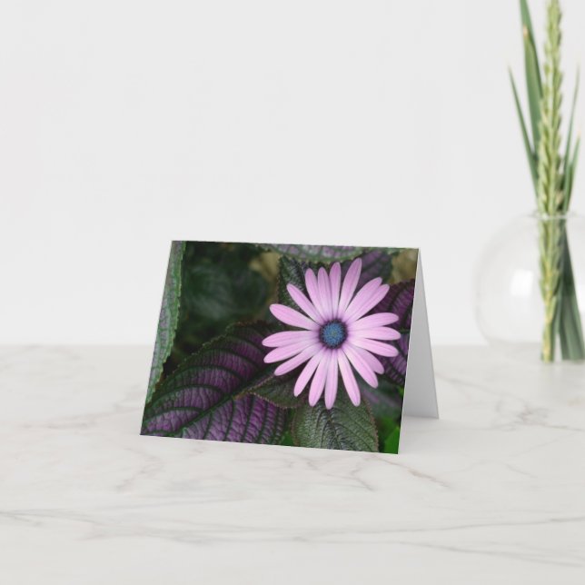 Carte de note rose et bleue (Devant)
