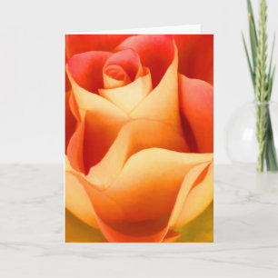 Carte de note Rose Peach