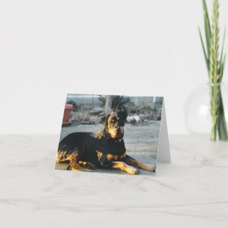 Carte de note Rottweiler - vide