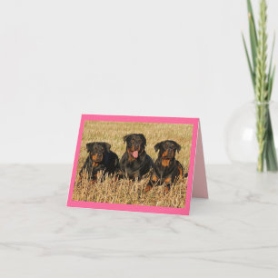 Carte de note rouge Rotttweiler Chien rose