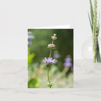 Carte de note sage de fleur