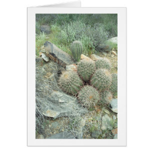 Carte de note Saguaro Swirl Cactus ou Cartes de vo