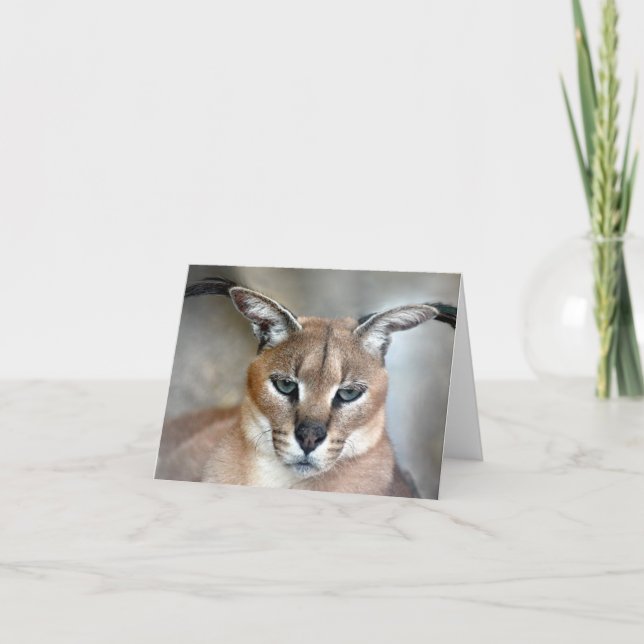 Carte de note sauvage de chat de Caracal (Devant)